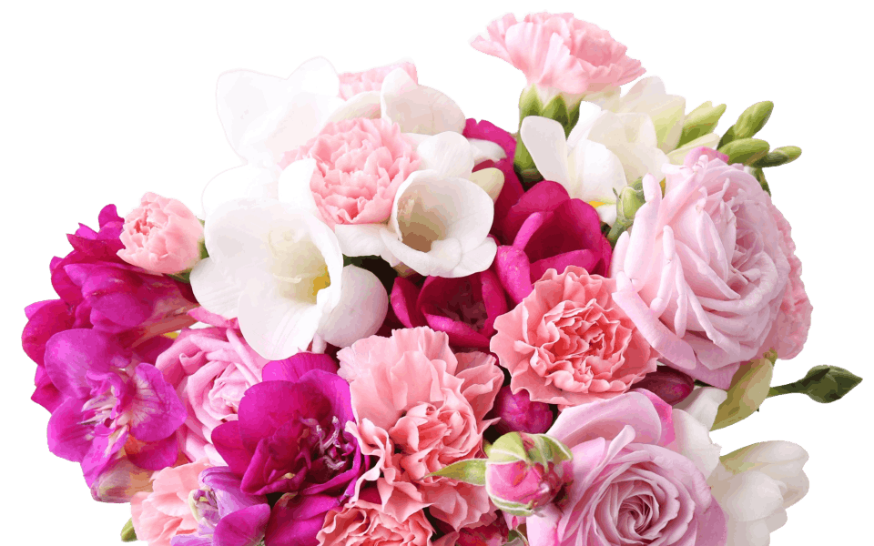 breadcrumbs background